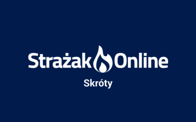 Skróty